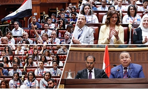 البرلمان يستقبل أبناء المصريين بالخارج
