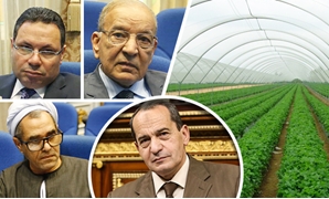 مصر تتجه لـ"الصوب الزراعية"
