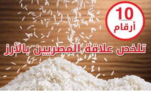 10 أرقام تلخص علاقة المصريين بالأرز