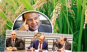 من يحمى الفلاح من مافيا تصدير الأرز؟
