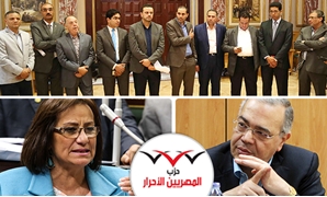 "المصريين الأحرار" يعاقب نادية هنرى
