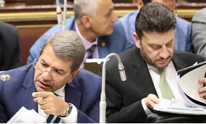  عمرو المنير نائب وزير المالية فى البرلمان اليوم 