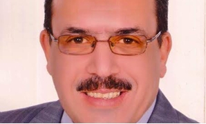 محمد السيد عامر مرشح حزب المصريين الأحرار
