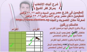 حسام جاد المرشح عن الدائرة الثانية مركز كفر الشيخ
