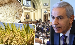 من يحمى الأرز المصرى من التهريب؟
