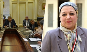 ماجدة نصر عضو مجلس النواب ولجنة التعليم