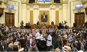 مجلس النواب 
