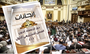  الجلسة العامة لمجلس النواب و صورة من البى دى إف