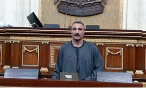 النائب إبراهيم خليف عضو لجنة الزراعة
