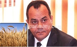 عصام منسى عضو لجنة الزراعة بمجلس النواب  و  قمح