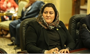  غادة صقر عضو مجلس النواب بمحافظة دمياط
