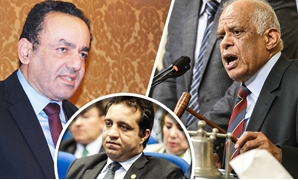 عمرو الشوبكى "نائب بأمر المحكمة"
