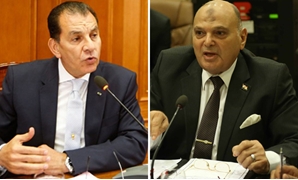 كمال عامر و حاتم باشات عضوا مجلس النواب

