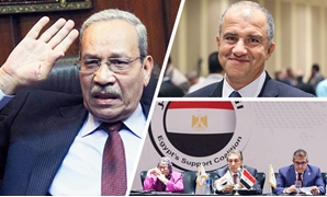 متحدث "دعم مصر" يكشف كواليس استقالته
