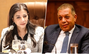 أسامة شرشر وداليا خورشيد وزيرة الاستثمار