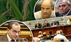 مهام برلمانية جديدة لـ"الزراعة والرى"