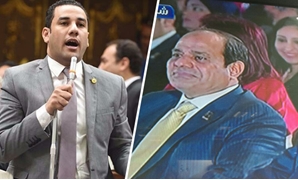 الرئيس السيسى وأحمد على عضو مجلس النواب عن حزب المصريين الأحرار
