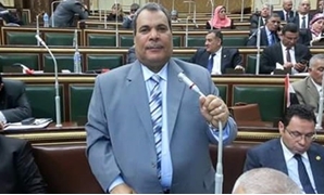 النائب محمد سعيد الدويك عضو لجنة الدفاع والأمن القومى بمجلس النواب