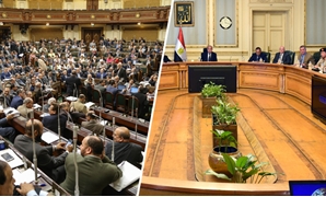 الجلسة العامة لمجلس النواب واجتماع الحكومة