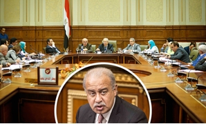 شريف إسماعيل رئيس الوزراء بالبرلمان واللجنة التشريعية