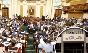 مجلس الدولة ومجلس النواب