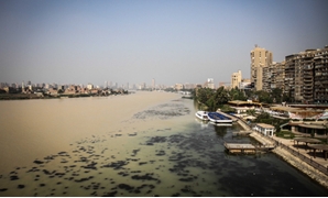 عكارة النيل
