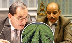 النائب هشام الشعينى وعصام فايد وزير الزراعة ومحاصيل زراعية