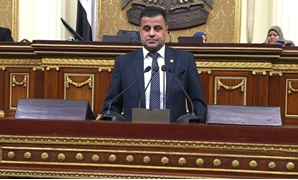 عاصم عبد العزيز عضو مجلس النواب عن البحيرة