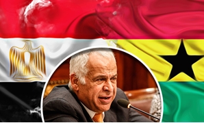 دعوة مصر وغانا تثير أزمة فى البرلمان
