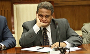  الدكتور أحمد سعيد رئيس لجنة العلاقات الخارجية بالبرلمان