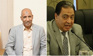 عامر الحناوى وأحمد عماد وزير الصحة