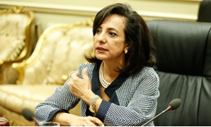 الدكتوة داليا يوسف، عضو لجنة العلاقات الخارجية
