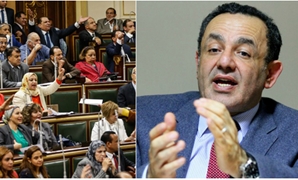 عمرو الشوبكى والجلسة العامة لمجلس النواب
