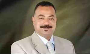 المحامى علي عبدالونيس عضو مجلس النواب