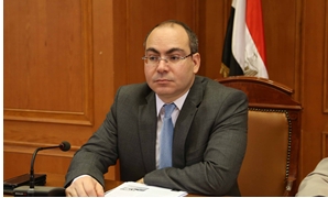  محمد رشوان وكيل لجنة الطاقة والبيئة بالبرلمان
