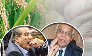 مشروع قانون لحل أزمة تهريب الأرز والسكر