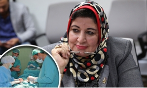 شادية ثابت عضو لجنة الصحة بالبرلمان وأطباء