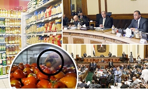 البرلمان يفتح ملف فساد المنتجات الغذائية