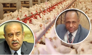 محمد سعد تمراز عضو لجنة الزراعة بمجلس النواب ودواجن وشريف إسماعيل رئيس الحكومة