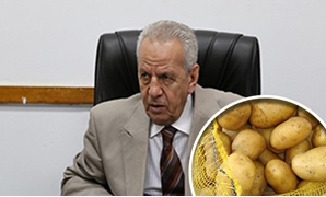  تصدير البطاطس - الدكتور سعد نصار مستشار وزير الزراعة واستصلاح الأراضى