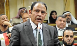  النائب رياض عبد الستار، عضو مجلس النواب
