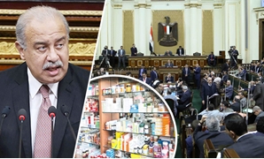 البرلمان يحاول إنهاء أزمة الأدوية 