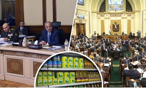 البرلمان يصوت على سلامة الغذاء
