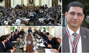 بسام فليفل: "الحكومة هتغرَق مصر "