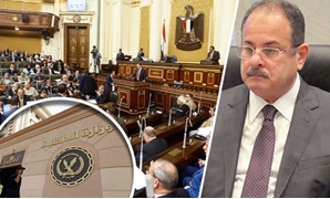 اللواء مجدى عبد الغفار والداخلية ومجلس النواب