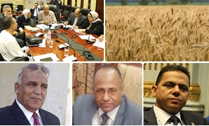 البرلمان قلقان على محصول القمح
