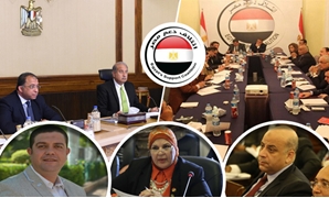 "دعم مصر" يُقيّم الحكومة
