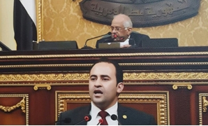 سامح حبيب عضو مجلس النواب
