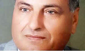 محمود شحاتة زايد مرشح حزب الوفد عن دائرة "ههيا"

