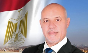  رشاد أبو عيد عضو مجلس النواب عن قائمة فى حب مصر